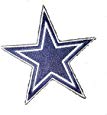 Dallas Star Logo 5" Embroidered Sew on Iron Big Patch